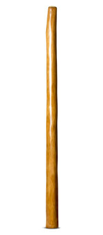 Gloss Finish Flared Didgeridoo (TW932)